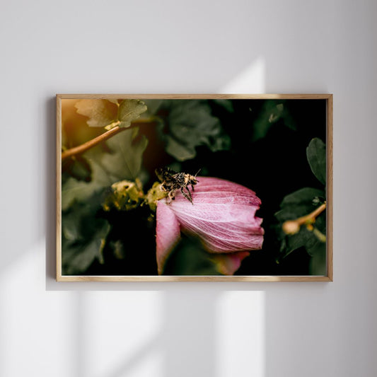 Pollen Happy – Macro Bee & Blossom Print