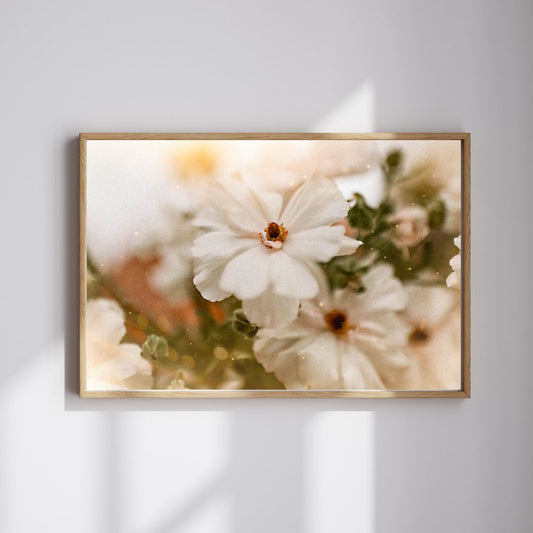 Cream Cosmos Floral Print