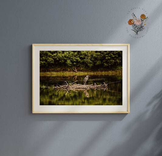 "River Watch" – Heron Print